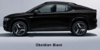 Obsidian Black